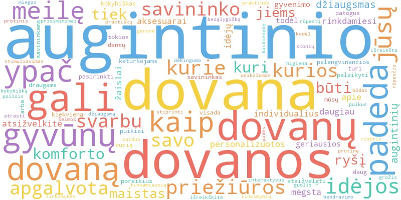 Word cloud illustrating key concepts from the article on Augintinių Dovanos ir Aksesuarai