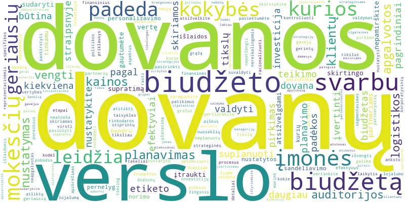Word cloud for article on Kaip planuoti ir valdyti verslo dovanų biudžetą?