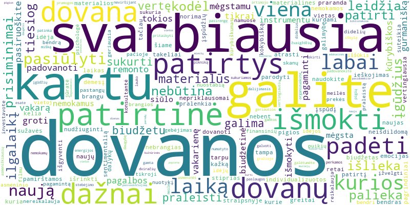 Word cloud for article on Kokios yra įsimintinos patirtinės dovanos, neviršijančios biudžeto?